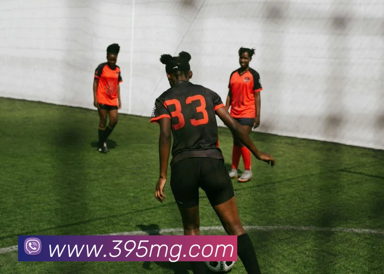 MG娱乐平台官网服务体系